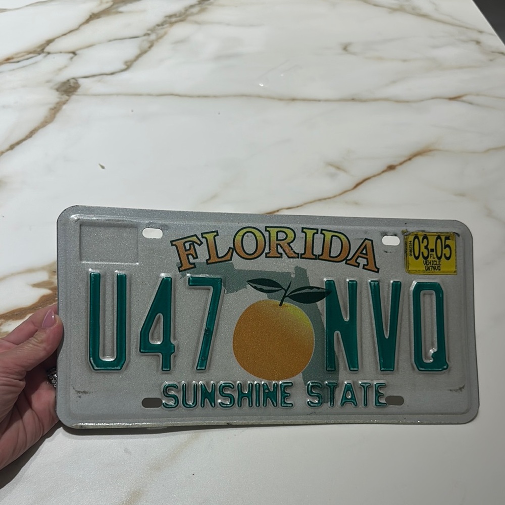 Florida License Plate with Orange Design